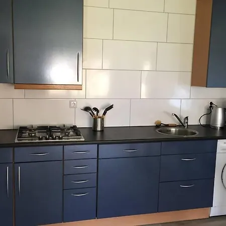 Vakantiehuis Op Bedrijf Met Melkkoeien *