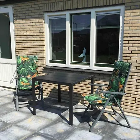 Op Bedrijf Met Melkkoeien De Cocksdorp (Texel)