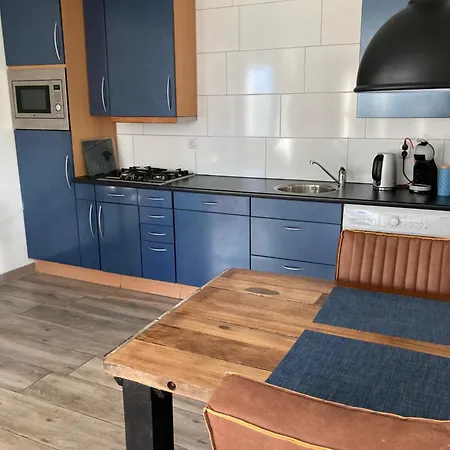 Vakantiehuis Op Bedrijf Met Melkkoeien De Cocksdorp (Texel)