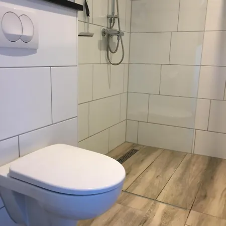 Op Bedrijf Met Melkkoeien *