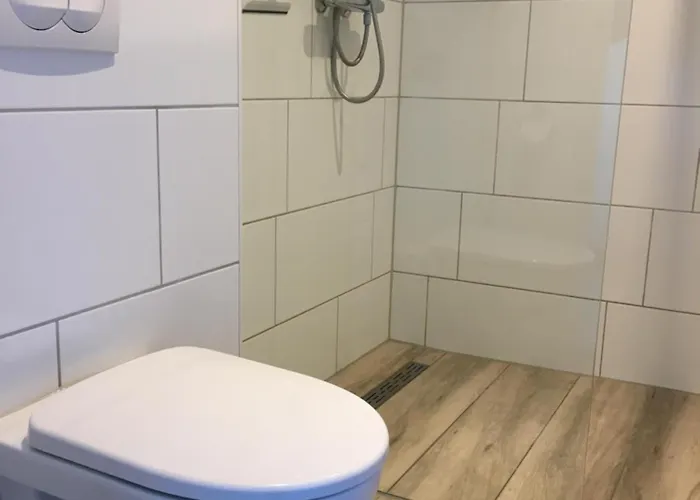 Op Bedrijf Met Melkkoeien *